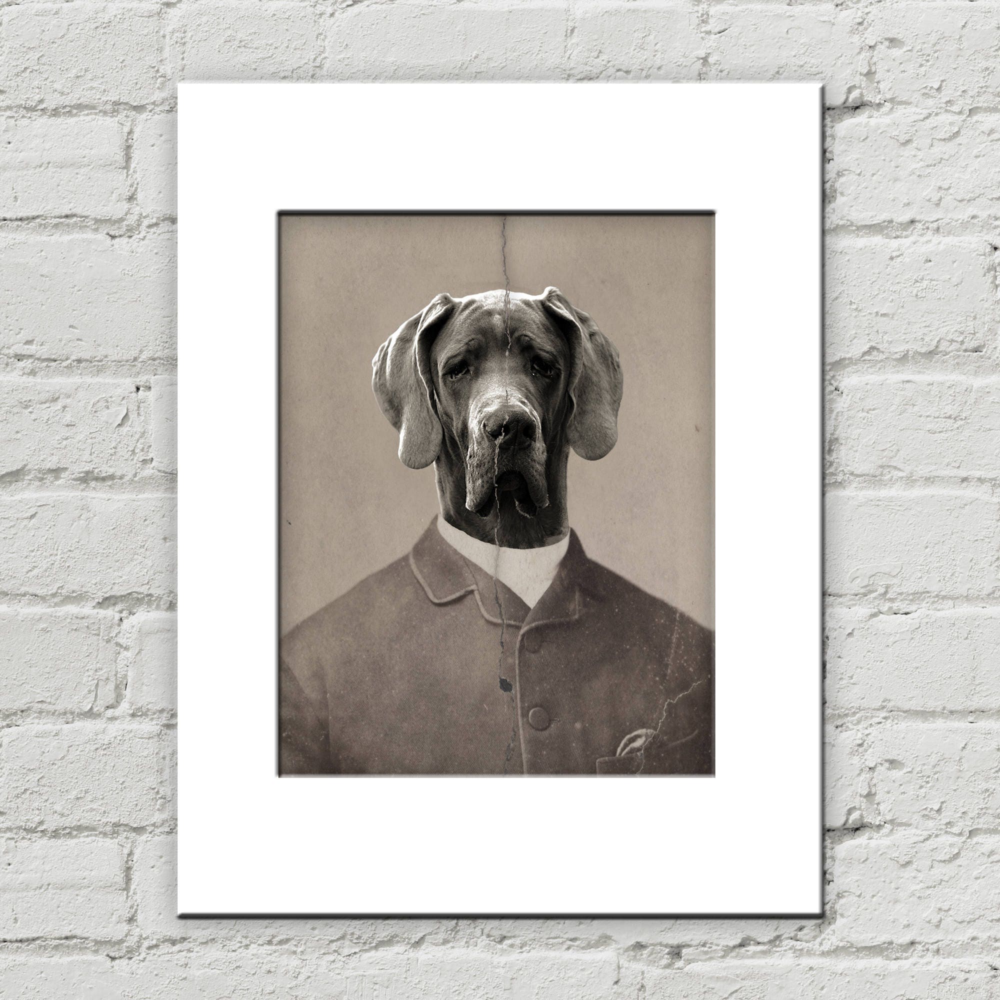 Animals in Clothes Great Dane Art Print Dog in Suit Unique Etsy