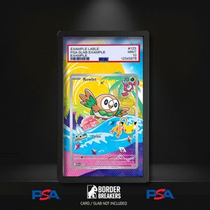 May include: A Rowlet trading card encased in a black PSA slab. The card features a colorful tropical scene with a yellow sun, palm trees, a sailboat, and a Pikachu icon. The label at the top reads EXAMPLE LABLE, PSA SLAB EXAMPLE, #123, MINT 10, 12345678.