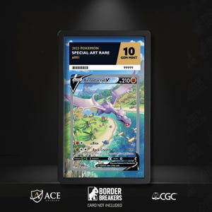 Aerodactyl 180/196  Pokémon Slab Skin | ACE CGC Graded Card Display Insert | Extended Art Slab Backing