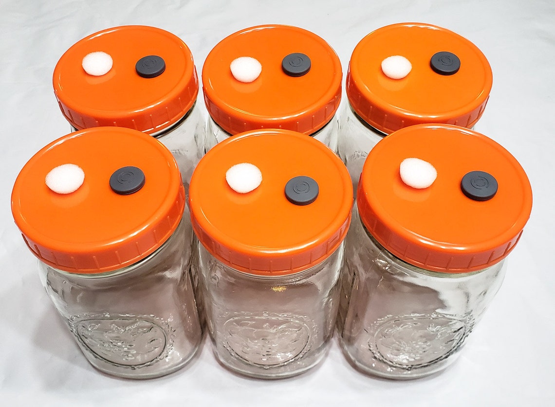 12-Pack Mushroom Grain Spawn Injection Lids - Wide Mouth Mason Jar Lids (Modified)