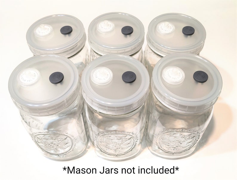 6 Liquid Culture Mason Jar Lids Wide Mouth for Mycology Value Etsy