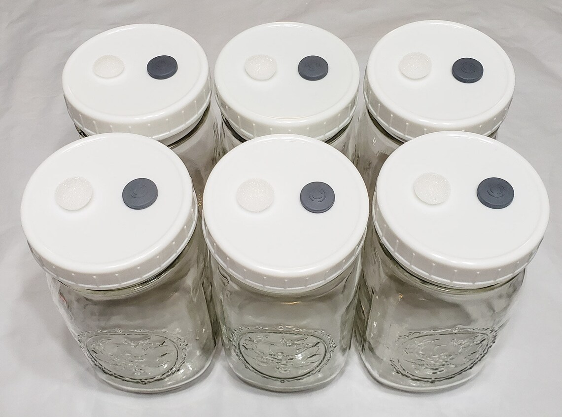 6 Grain Spawn Mason Jar Lids Wide Mouth for Mycology Value Cap Etsy