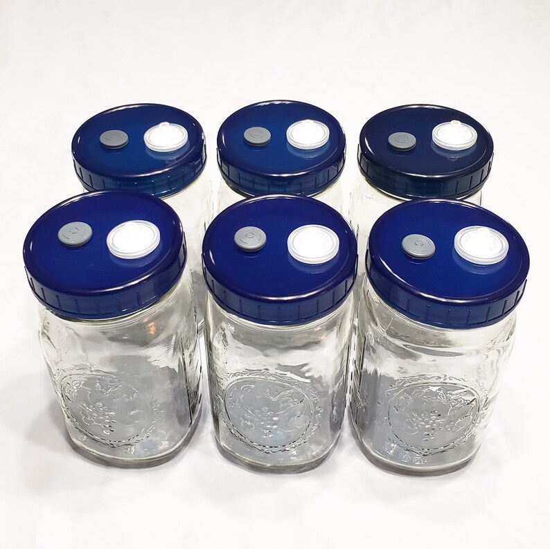 6 Liquid Culture Mason Jar Lids Wide Mouth for Mycology Value Etsy