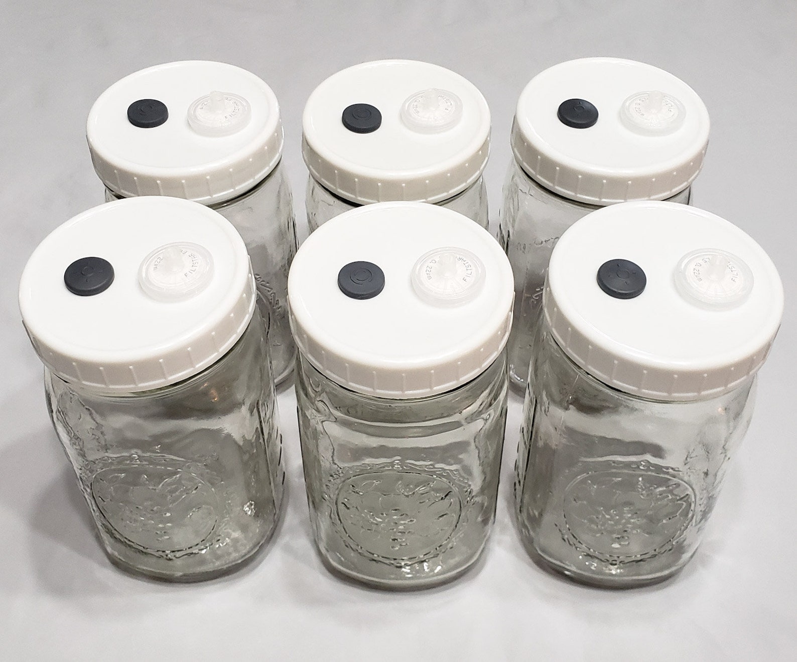6 Liquid Culture Mason Jar Lids Wide Mouth for Mycology Value Etsy