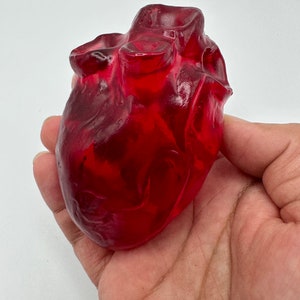 Puede incluir: Un modelo anatómico de corazón translúcido, de color rojo rubí. El corazón se sostiene en una mano, mostrando su forma detallada. El material parece ser sólido, posiblemente resina o vidrio, con una superficie lisa y pulida. El modelo es una representación impactante del corazón humano.