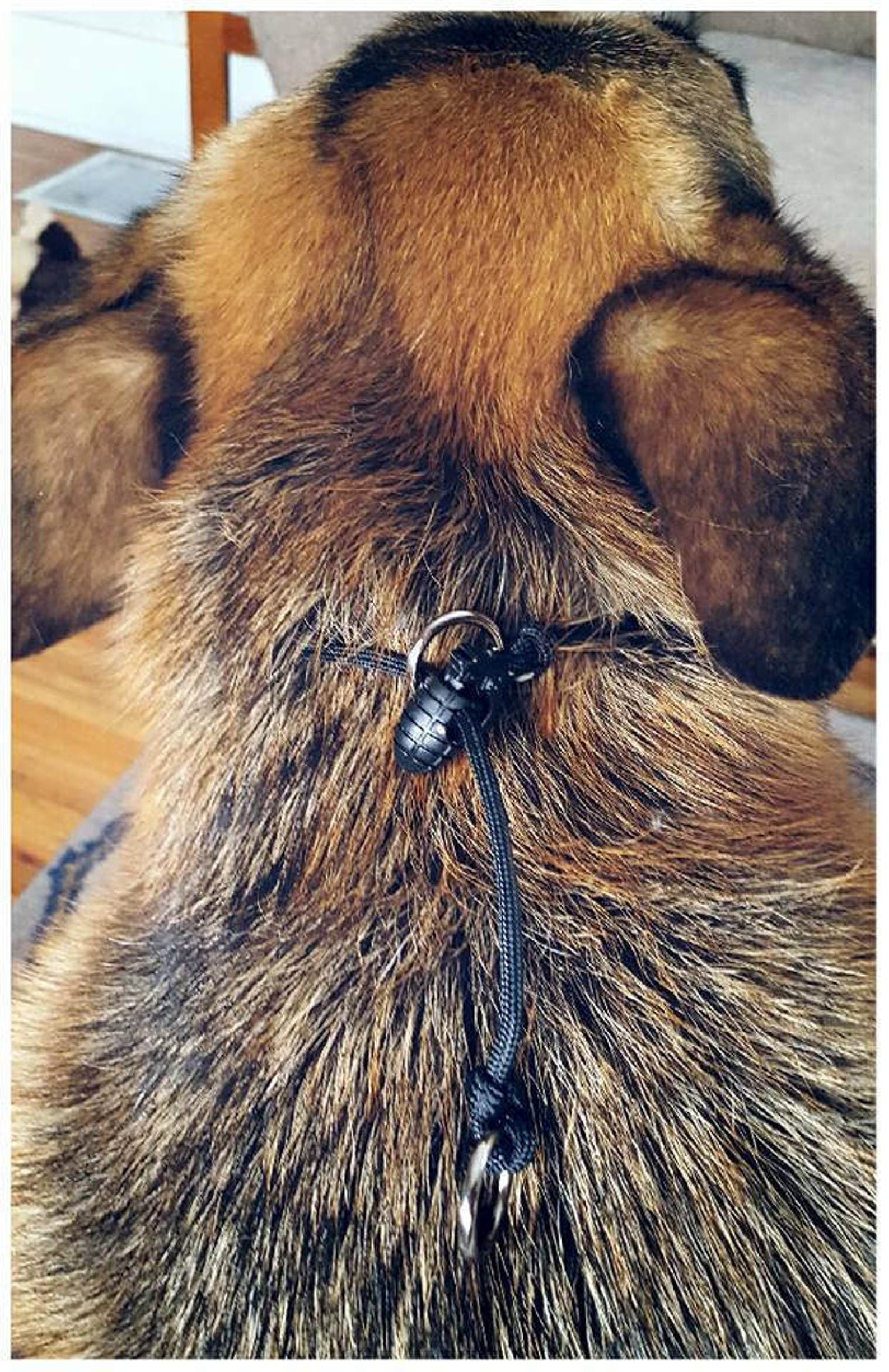 Singlestrand dominant dog collar Working dog suppression. Etsy