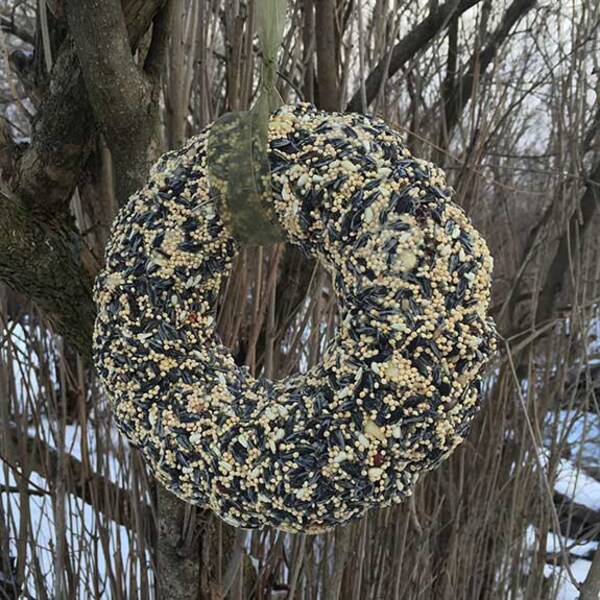 Single Bird Seed Wreath - 9"