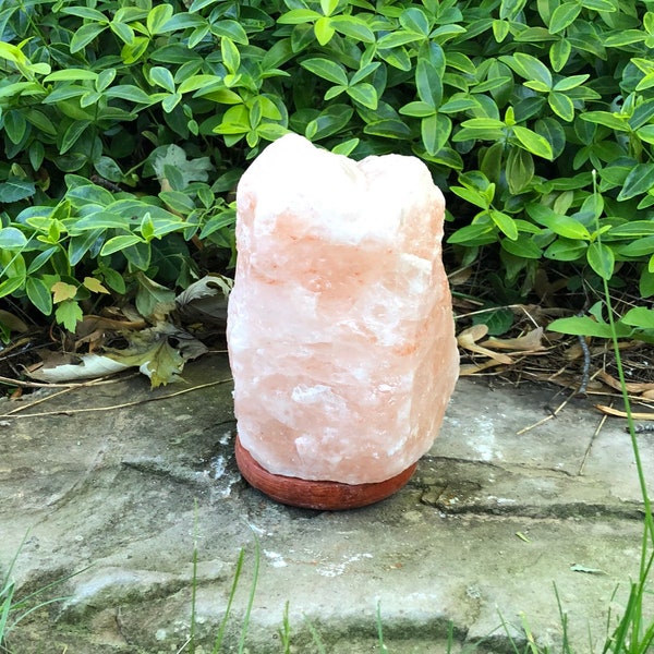 Himalayan Salt Lamp Etsy