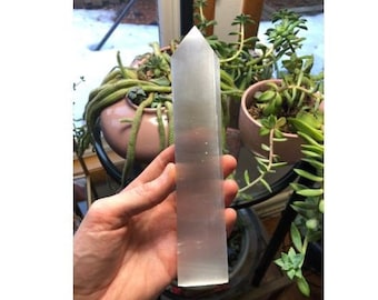 May include: A clear, smooth, and polished selenite wand, approximately 6 inches long, held in a hand against a background of potted succulents.