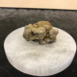 May include: A small, brown, irregularly shaped rock with a rough, textured surface. The rock is sitting on a white, round, smooth surface.