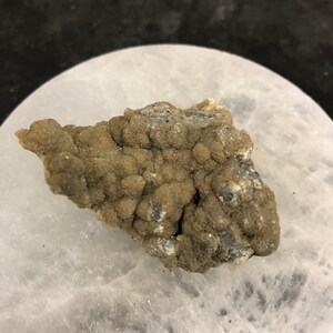 May include: A close-up of a gray and brown botryoidal mineral specimen. The mineral has a rough, textured surface and is displayed on a white background.