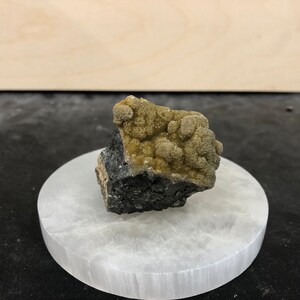 May include: A small, dark gray and green mineral specimen on a white selenite base. The mineral has a rough, textured surface and appears to be a cluster of crystals.