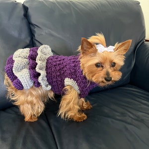 Dog Sweater, Bubbles and Ruffles