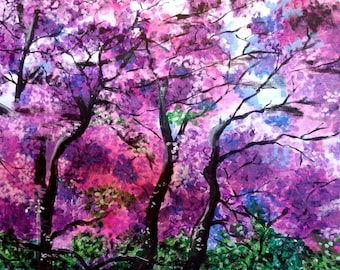 Purple Jacaranda Tree