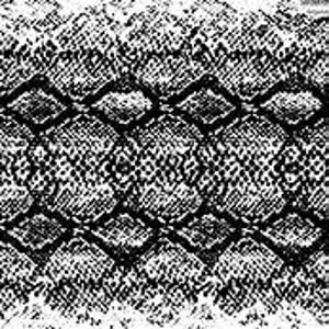May include: Black and white snakeskin pattern fabric with a textured surface.