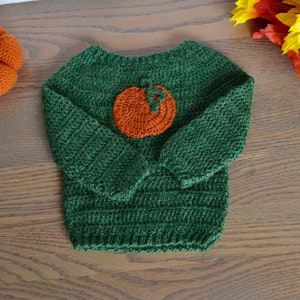 May include: A green crocheted sweater with a small orange pumpkin applique on the front.