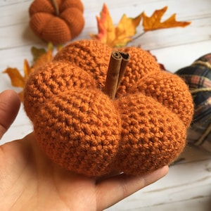 Pretty Simple Crochet Pumpkin Decor (PATTERN ONLY)