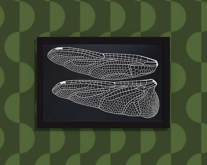 Dragonfly Wings - layered paper sculpture - 13”x19” wood frame, landscape orientation
