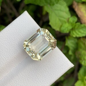 Pode incluir: Uma gema verde clara cortada em esmeralda em um fundo branco.