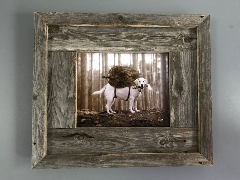 May include: A white dog carrying a large log on its back in a rustic wooden frame. The dog is in a forest setting and is looking at the camera. The frame is made of reclaimed wood and has a distressed finish.