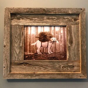 May include: A framed photograph of a white dog carrying a large log in a forest setting. The frame is made of rustic wood with a weathered gray finish.