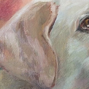 Custom oil pet portrait on canvas, Commission oil painting from photo, Custom labrador portrait from photo, Dog memorial image 8