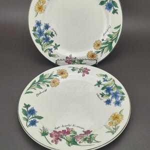 Vintage Oneida Salad Plates - Geranium Floral Design - Set of 2