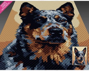 Blue Heeler Portrait Häkelanleitung, C2C Graphgan PDF Download, Australian Cattle Dog Decke, von 100 bis 1800 Nähanleitung