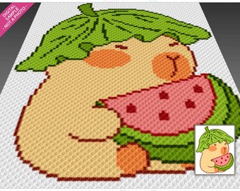 Watermelon Capybara crochet graph (c2c, mini c2c, sc, hdc, dc, tss), cross stitch, knitting; PDF download, no counts or instructions
