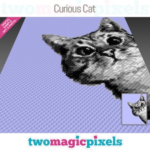 Peut inclure: Une image pixélisée d'un chat curieux regardant le spectateur. Le chat est gris et blanc et a un nez noir. L'arrière-plan est de couleur violet clair. L'image est intitulée "Curious Cat".