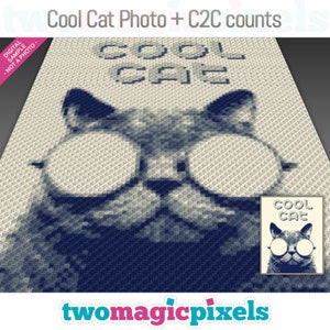 Gráfico de crochet Cool Cat Photo + recuentos fila por fila C2C; descarga instantánea de PDF