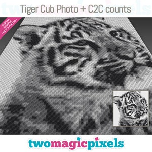 Gráfico de crochet de Tiger Cub Photo + recuentos de fila por fila de C2C; descarga instantánea de PDF