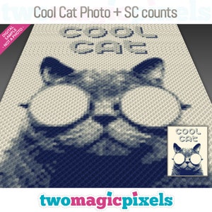 Gráfico de crochet Cool Cat Photo + recuentos fila por fila SC; descarga instantánea de PDF