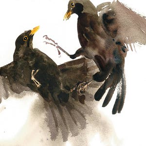 Blackbirds/Blackbirds Fighting/Blackbird Fine Art Giclée Print/Blackbird Watercolour Giclée Print