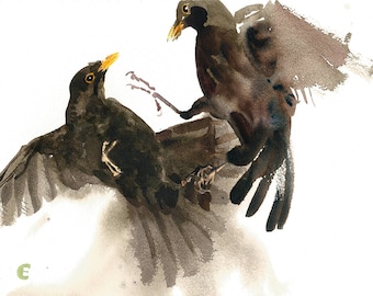 Blackbirds/Blackbirds Fighting/Blackbird Fine Art Giclée Print/Blackbird Watercolour Giclée Print