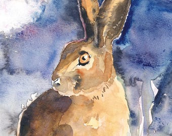 Hare in Moonlight