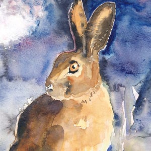 Hase im Mondschein