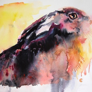 Hare/Magical Hare/Hare-abstract style/Colourful Hare/Hare original watercolour
