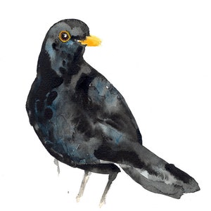 Blackbird/Blackbird Giclée Print
