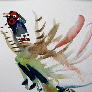 Pheasant Display/Pheasant Original Watercolour