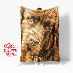 Patrón de crochet para perro Terranova MINI C2C con instrucciones escritas, gráfico completo y (consejos, enlaces a calculadoras de hilo y tutoriales)