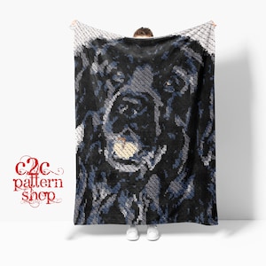 MINI C2C Newfoundland Dog Crochet Pattern with written instructions, full graph and (tips, links to yarn calculators and tutorials)