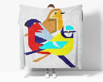 C2C Colorful Birds Crochet Pattern / C2C Graphgan Patterns / Corner to Corner / C2C Crochet Blanket / C2C Afghan / C2C Written Pattern