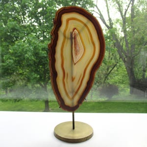 May include: A polished agate slice, showcasing concentric bands of brown, cream, and white. The natural stone is mounted on a brass-colored circular base with a slender black metal rod, creating a decorative display piece. The background features a blurred view of green trees.