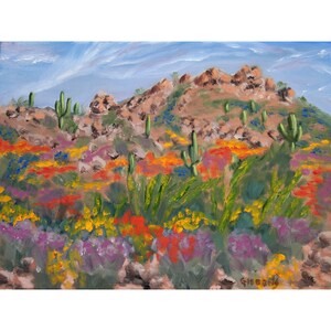 Sonoran Desert Noon