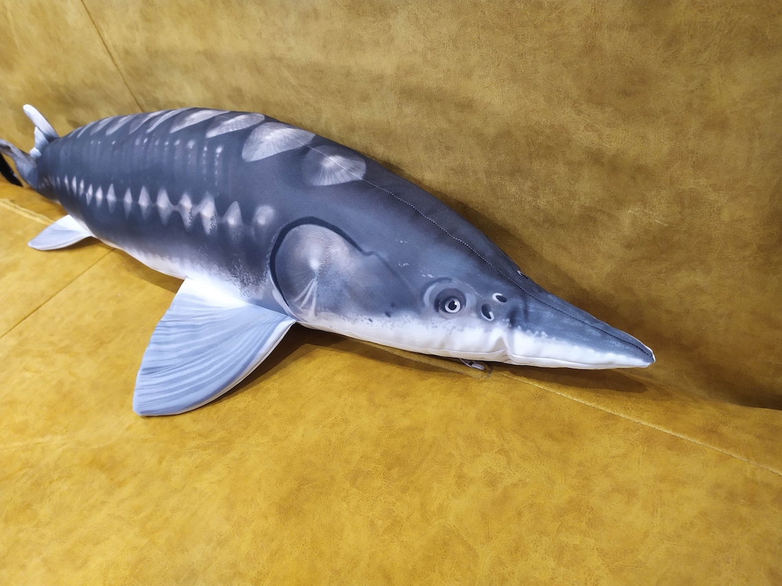 Fish Pillow EUROPEAN STURGEON Neck Pillow Animal Pillow Relax Etsy