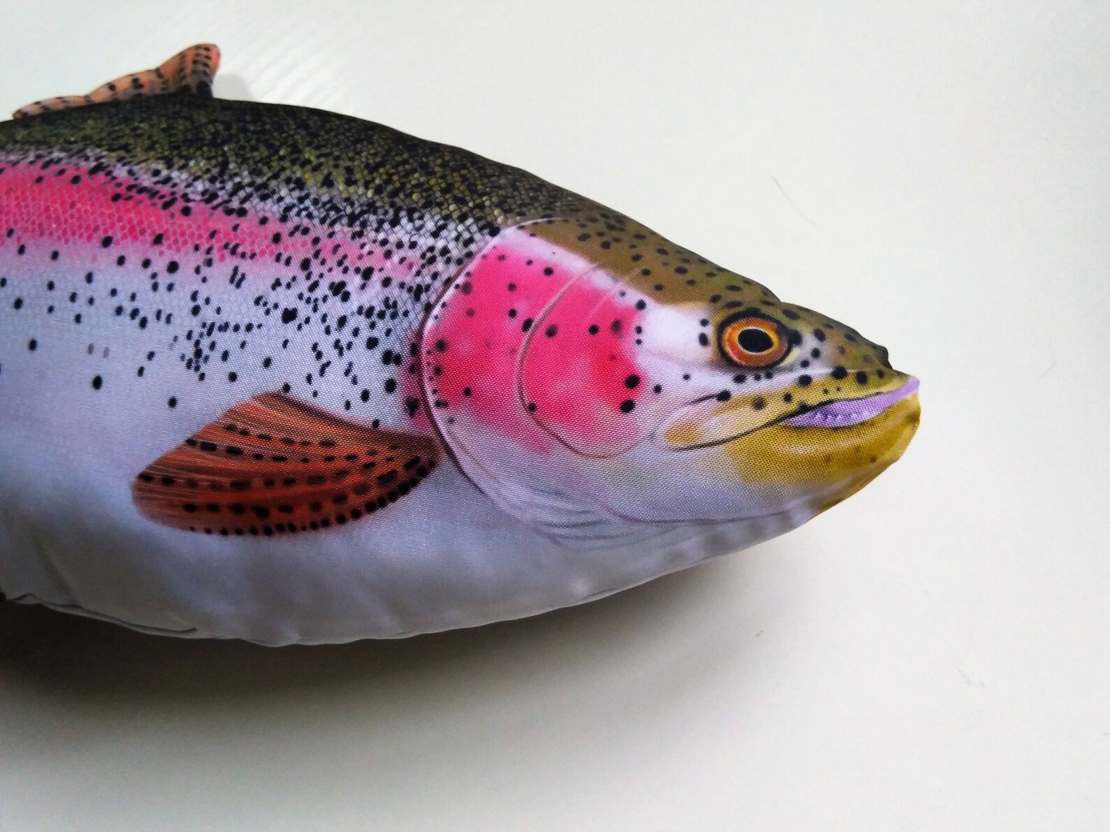 Fish Pillow SALMON TROUT Neck Pillow Animal Pillow Relax Pillow