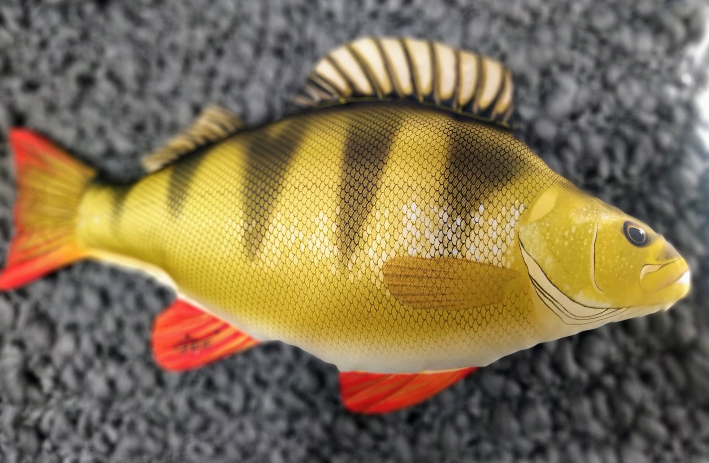 Fish Pillow Perch perca Fluviatilis Neck Pillow Animal Pillow Fisherman