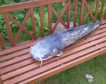 giant catfish pillow