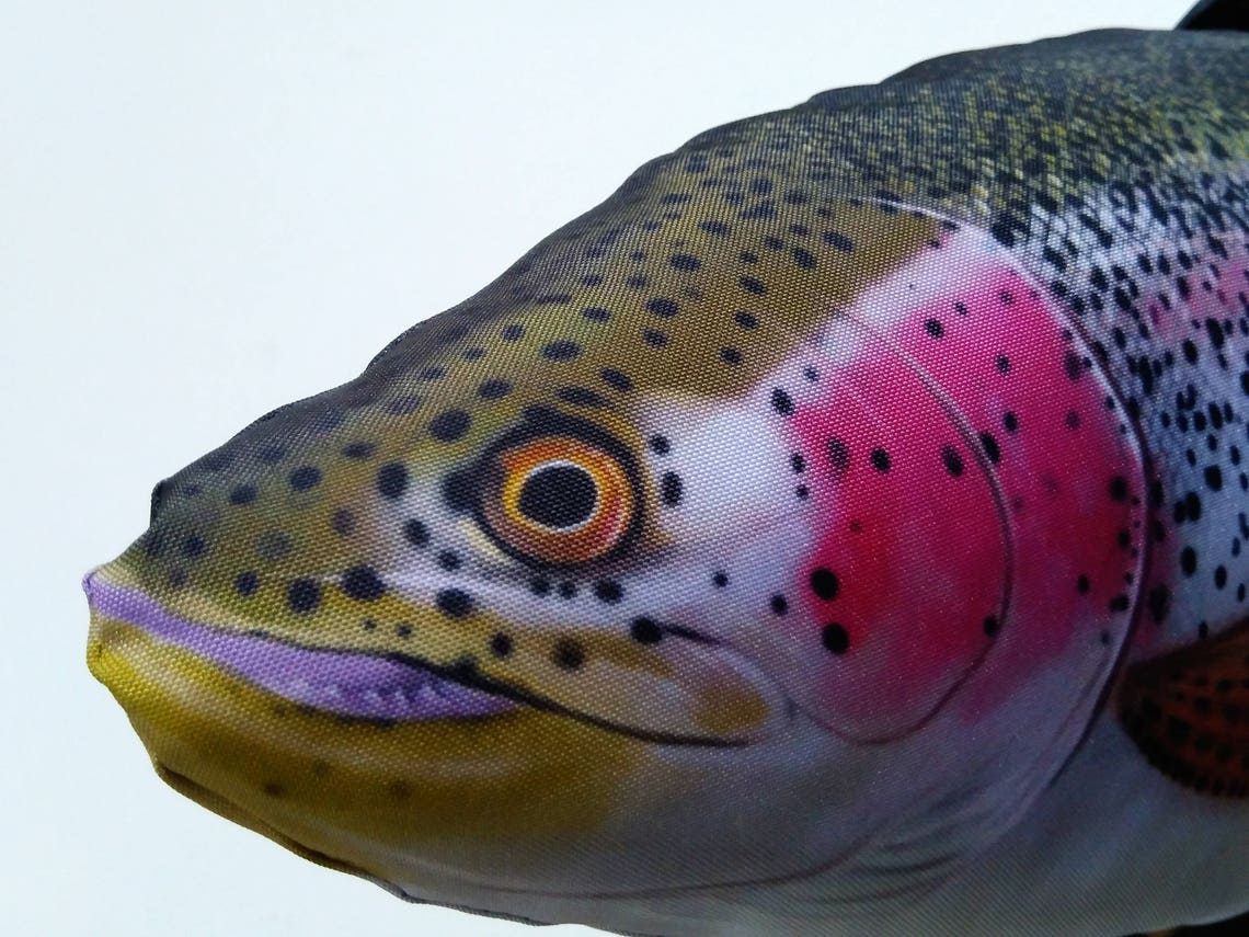 Fish pillow SALMON TROUT Neck pillow Animal pillow Relax Etsy